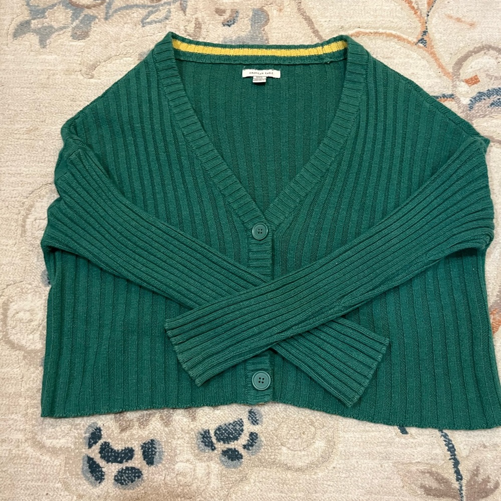 Cropped Cardagin American Eagle
